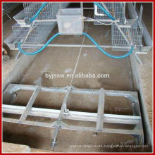 Automatic Manure Removal Machine / Poultry Farm Equipment